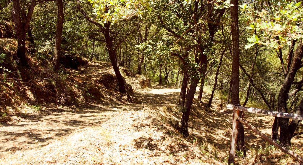 Le Oreadi Francavilla di Sicilia Bagian luar foto